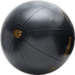 Ficha técnica e caractérísticas do produto Fit Ball Pro Pretorian Performance 75cm - FBP-75-PP