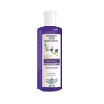 Ficha técnica e caractérísticas do produto Flores Vegetais Blond Matizante Shampoo 300ml