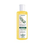 Ficha técnica e caractérísticas do produto Flores Vegetais Jaborandi Arnica Shampoo 300ml - Flores & Vegetais