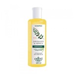 Ficha técnica e caractérísticas do produto Flores Vegetais Jaborandi Arnica Shampoo 300ml