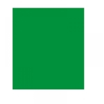 Ficha técnica e caractérísticas do produto Folha de Eva Liso 1.50 mm x 40 cm x 48 cm Verde Bandeira
