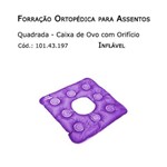 Forrações de Assento - Caixa de Ovo Quadrada com Orifício (inflável) - Bioflorence - Cód: 101.0197