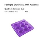 Ficha técnica e caractérísticas do produto Forrações de Assento - Caixa de Ovo Quadrada (Gel) - Bioflorence - Cód: 103.0027