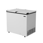 Ficha técnica e caractérísticas do produto Freezer Horizontal Esmaltec 305 Litros 2 Portas - EFH350