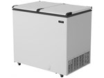 Ficha técnica e caractérísticas do produto Freezer Horizontal 2 Portas Cegas Esmaltec 305L - EFH 350 SK EFAB