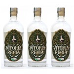 Ficha técnica e caractérísticas do produto Gin Nacional Vitória Régia 750ml 03 Unidades - Vitoria Regia