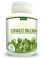 Ficha técnica e caractérísticas do produto Ginkgo Biloba 650mg 120 Capsulas BIONUTRIR