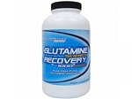 Ficha técnica e caractérísticas do produto Glutamine Science Recovery 1000 Powder 600g - Performance Nutrition