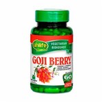 Ficha técnica e caractérísticas do produto Goji Berry + Vitamina C Unilife - 60 Cápsulas 500mg
