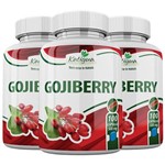 Goji Berry - 3x 100 Cápsulas - Katigua