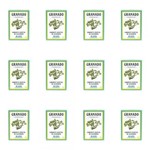 Ficha técnica e caractérísticas do produto Granado Algas Sabonete Vegetal C/ Glicerina 90g (Kit C/12)