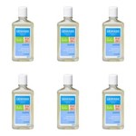 Ficha técnica e caractérísticas do produto Granado Bebê Lavanda Shampoo 250ml - Kit com 06