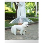 Guarda Chuva Sombrinha para Cachorro Pet Umbrella