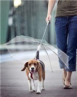 Ficha técnica e caractérísticas do produto Guarda Chuva Sombrinha para Cachorro Pet Umbrella