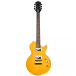 Ficha técnica e caractérísticas do produto Guitarra Epiphone Les Paul Special II Signature Slash AFD