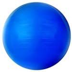 Ficha técnica e caractérísticas do produto Gym Ball 65cm Acte Sports T9
