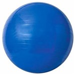 Ficha técnica e caractérísticas do produto Gym Ball 65cm - Acte Sports