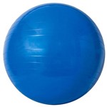 Ficha técnica e caractérísticas do produto Gym Ball 65cm com Bomba de Ar - Acte Sports