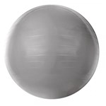 Ficha técnica e caractérísticas do produto Gym Ball Acte Sports 55cm Prata