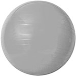 Ficha técnica e caractérísticas do produto Gym Ball C/ Bomba de Ar 55cm Prata - Acte Sports
