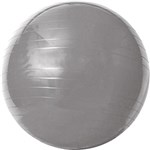 Ficha técnica e caractérísticas do produto Gym Ball C/ Bomba de Ar 75cm Cinza - Acte Sports