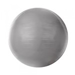 Ficha técnica e caractérísticas do produto Gym Ball com Bomba de Ar 55cm Cinza T9-55 - Acte - Acte