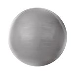 Ficha técnica e caractérísticas do produto Gym Ball com Bomba de Ar 55cm Cinza T9-55 - Acte