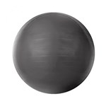 Ficha técnica e caractérísticas do produto Gym Ball com Bomba de Ar 75cm Cinza T9-75 - Acte - Acte