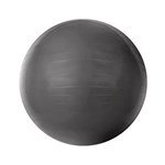 Ficha técnica e caractérísticas do produto Gym Ball com Bomba de Ar 75cm Cinza T9-75 - Acte