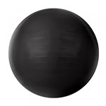 Ficha técnica e caractérísticas do produto Gym Ball com Bomba de Ar 85cm Cinza Chumbo T9-85 - Acte - Acte