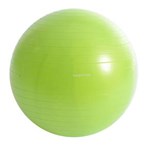 Ficha técnica e caractérísticas do produto Gym Ball Proaction 55cm