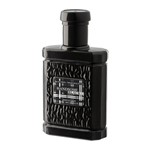 Ficha técnica e caractérísticas do produto Handsome Black Paris Elysees - Perfume Masculino - Eau de Toilette
