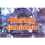 Ficha técnica e caractérísticas do produto Harley Davidson