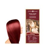 Ficha técnica e caractérísticas do produto Henna Creme Vermelho Surya Brasil 70ml - 13.8.p
