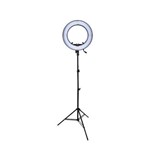 Ficha técnica e caractérísticas do produto Iluminador Ring Light de LED RL12 35cm Diâmetro e Tripé 2m para Foto e Vídeo