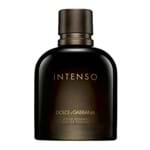 Ficha técnica e caractérísticas do produto Intenso Pour Homme Dolce&Gabbana - Perfume Masculino - Eau de Parfum 40ml