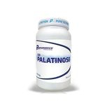 Ficha técnica e caractérísticas do produto Iso Palatinose - 1kg - Performance