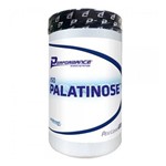 Ficha técnica e caractérísticas do produto Iso Palatinose 600G - Performance Nutrition
