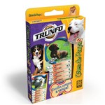 Ficha técnica e caractérísticas do produto Jogo Super Trunfo - Cães de Raça 2 Grow