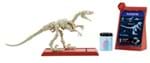 Ficha técnica e caractérísticas do produto Jurassic World Esqueletos Jurassicos Velociraptor - Mattel