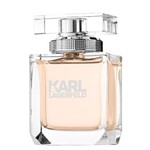 Ficha técnica e caractérísticas do produto Karl Lagerfeld Pour Femme Eau de Parfum Feminino