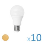 Ficha técnica e caractérísticas do produto Kit 10 Lâmpada Led Bulbo 12w Branco Quente Super Economica