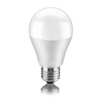 Ficha técnica e caractérísticas do produto Kit 10 Lâmpada LED Bulbo A60 10w Bivolt 6000k Branco Frio E27