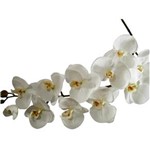 Ficha técnica e caractérísticas do produto Kit 4 Orquídeas em Silicone Premium