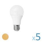 Ficha técnica e caractérísticas do produto Kit 5 Lâmpada Led Bulbo 12w Branco Quente Super Economica