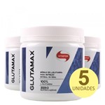 Ficha técnica e caractérísticas do produto Kit 5x Glutamax 100% L-Glutamina de 400g - Vitafor