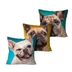 Ficha técnica e caractérísticas do produto Kit 3 Almofadas Decorativa Dogs 35x35cm Love Decor