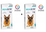 Ficha técnica e caractérísticas do produto Kit 2 Antipulgas e Carrapatos Bravecto MSD para Cães de 20 a 40 Kg