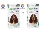 Ficha técnica e caractérísticas do produto Kit 2 Antipulgas e Carrapatos Bravecto MSD para Cães de 10 a 20 Kg
