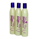 Ficha técnica e caractérísticas do produto Kit Blond Silver Matizador Shampoo Condicionador E Máscara